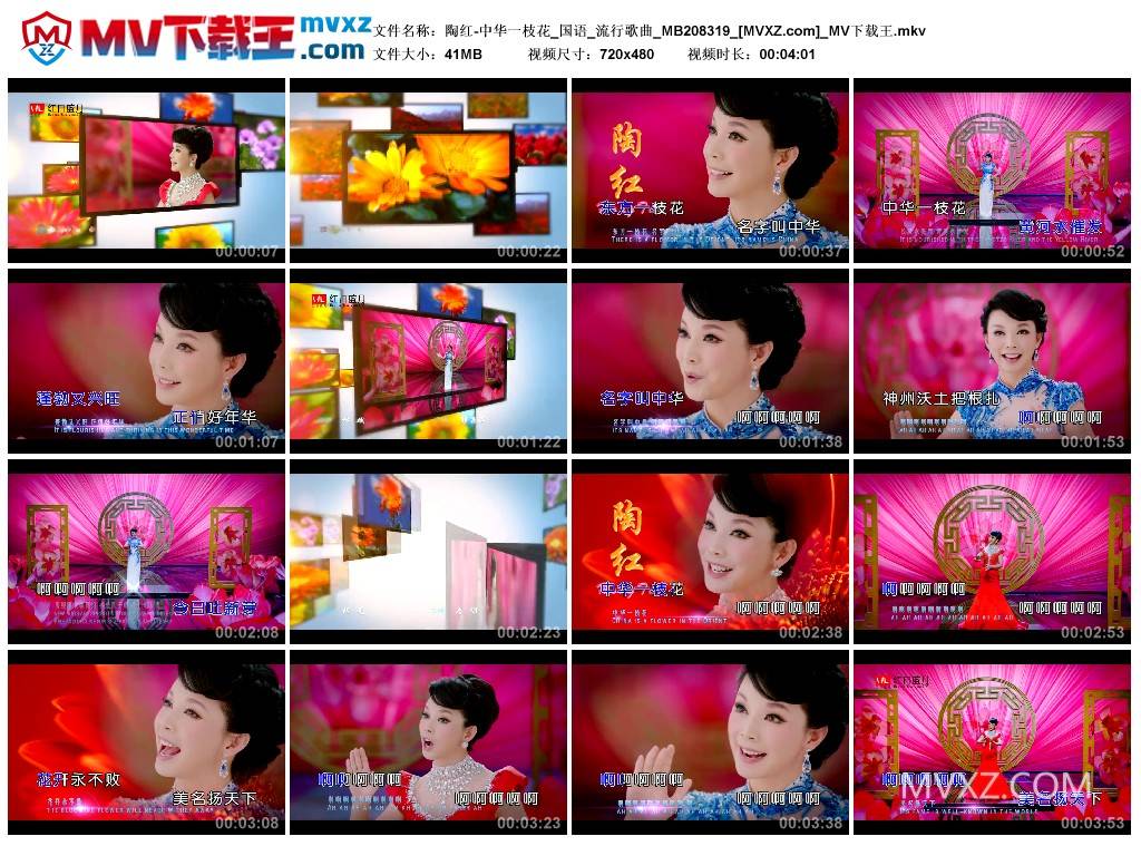 陶红-中华一枝花_国语_流行歌曲_MB208319